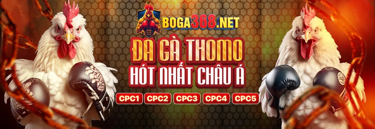 Chiến thuật bắn tăng đạn J33 để hạ gục cá lớn